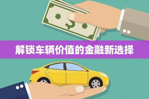 呼伦贝尔解锁车辆价值的金融新选择