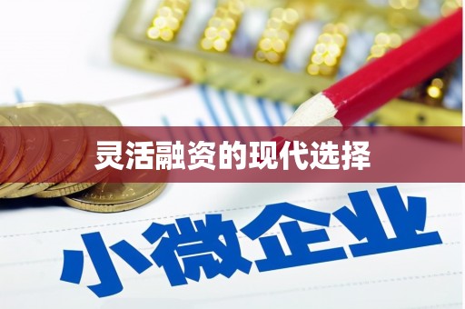 呼伦贝尔灵活融资的现代选择