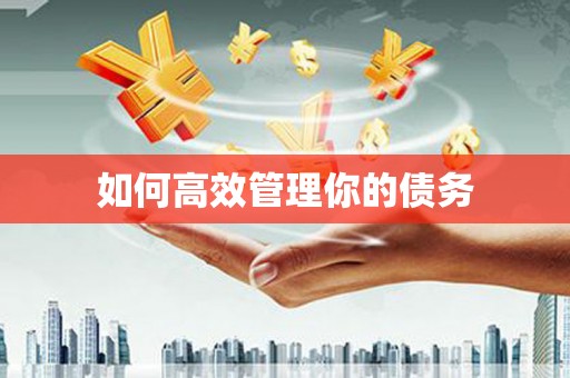 呼伦贝尔如何高效管理你的债务