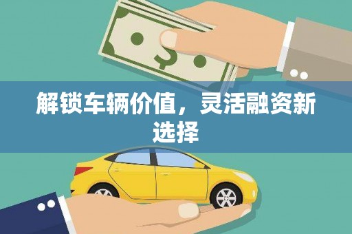 呼伦贝尔解锁车辆价值，灵活融资新选择