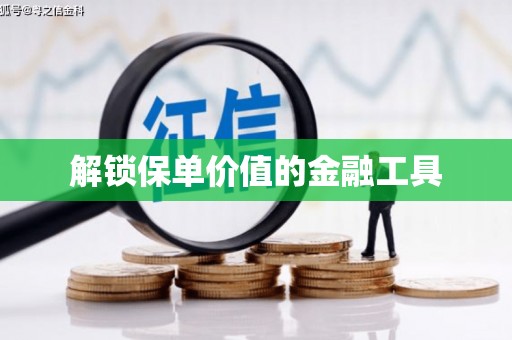 呼伦贝尔解锁保单价值的金融工具