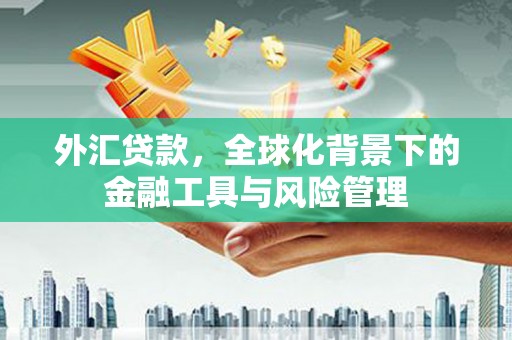 呼伦贝尔外汇贷款，全球化背景下的金融工具与风险管理
