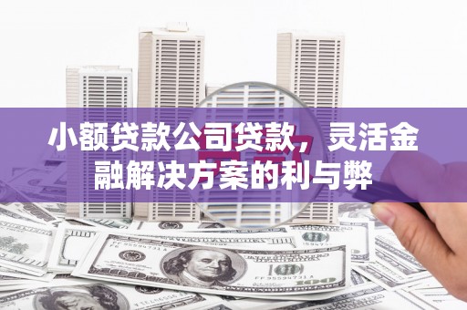 呼伦贝尔小额贷款公司贷款，灵活金融解决方案的利与弊