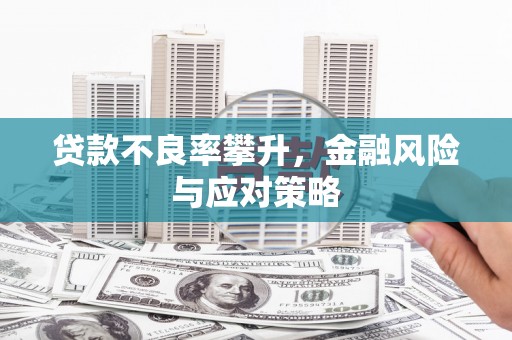 呼伦贝尔贷款不良率攀升，金融风险与应对策略