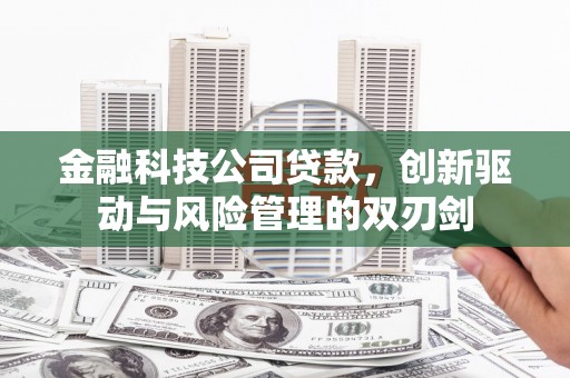 呼伦贝尔金融科技公司贷款，创新驱动与风险管理的双刃剑